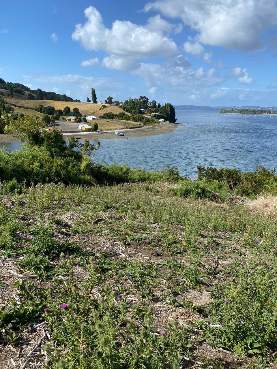 Rilán en Rilán, Chiloé